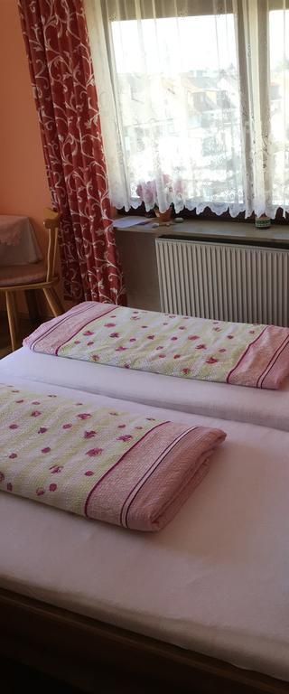 Gasthof Und Pension Mainzer Rad Schwetzingen Zewnętrze zdjęcie